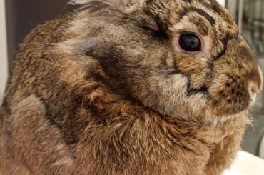 Why does that happen?