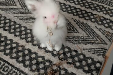 Any tips on how can I clean her? 🥲