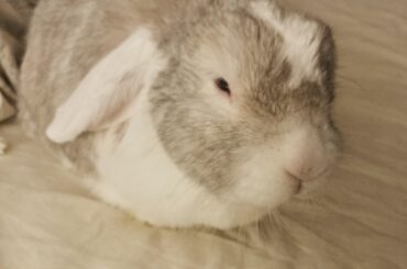 Harder than you’d think!