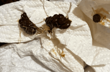 ***Please can anyone advise urgently?***