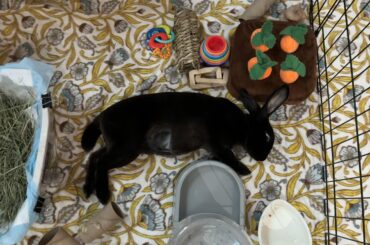 It’s giving “analog horror” in the cutest way possible