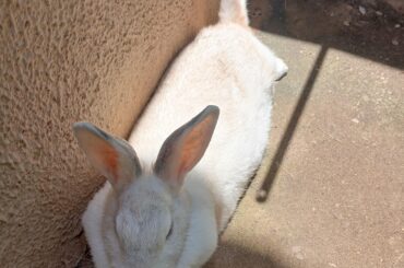 It's summer here, you know what that means? Time to get a tan!