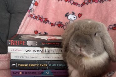 Book suggestion so the human leaves us alone