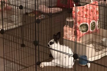 Does sitting like this means anything?