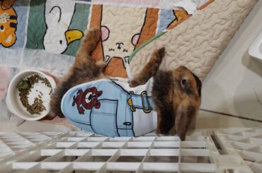 First time wearing clothes.