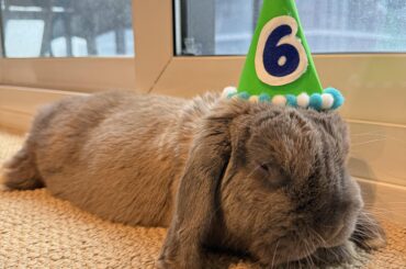 My little boy ain’t so little any more 🥲