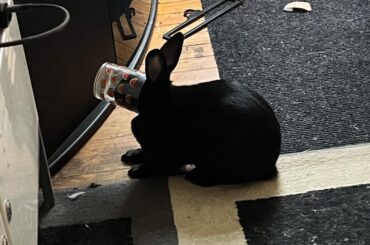 He’s…. A little special