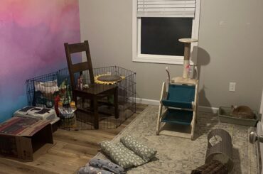 Rate my bun’s setup