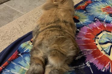 He’s so goofy. 😂