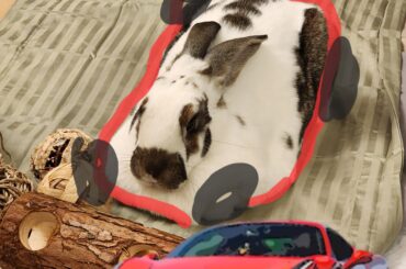 Vroom vroom 😍 eat my dust