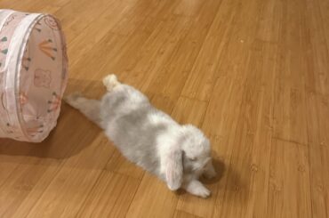 what does this mean?