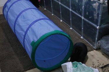 Came home to this😭