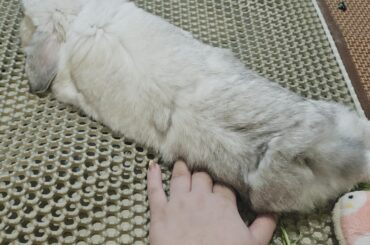 Successful infiltration