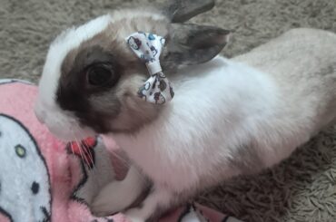 my hello kitty girl🤍