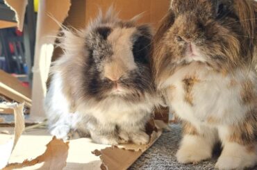 The timelessness of grief