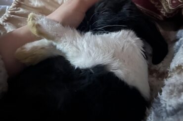 Sleepy Babby 🥰❤️