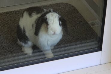 she wants to be outside.