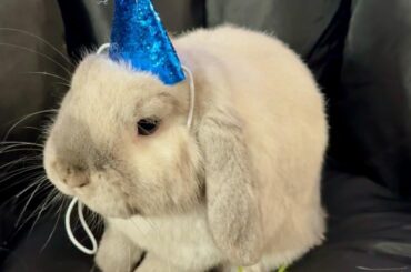 Happy Birthday to my storm Cloud 💙🌧