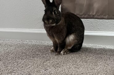 Here’s my Oatmeal 🤭