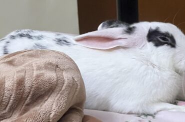 Feeling like a failure as a parent bcoz of my bun 😔