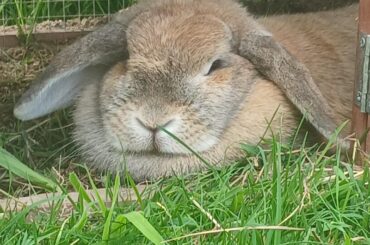 my little loaf of bread 💗