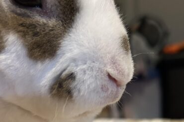 anyone know what this is?