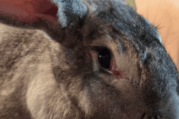 Jealous of my baby's lashes