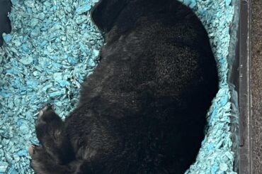 my boy in his element