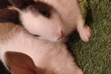 Happiness looks like this 💚