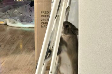 When they put you to work