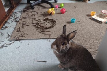 We've hit 6 on the Richter Scale: property damage likely