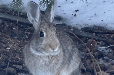 Theo is the prince of Fricso