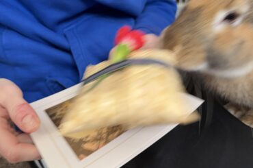 Toy? No that’s your sisters ashes!