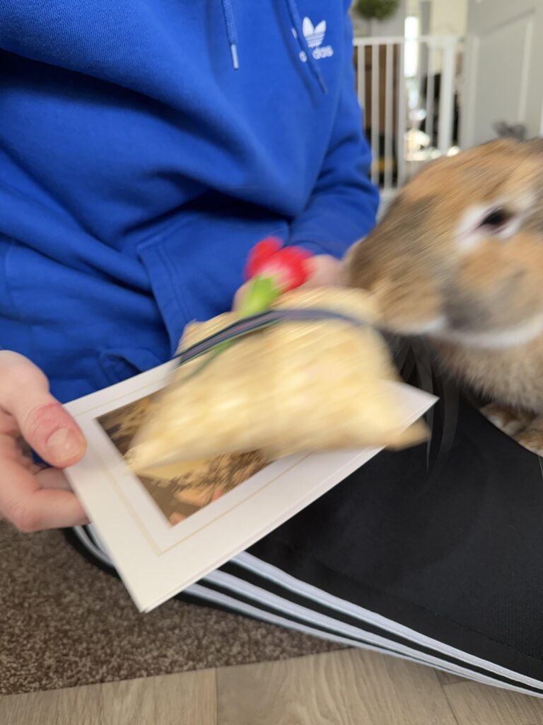 Toy? No that’s your sisters ashes!