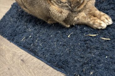 What’s this pose called? De