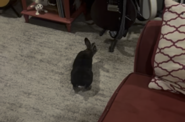 Biscoff being silly compilation