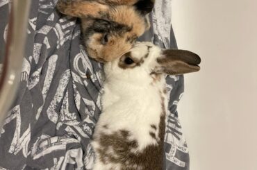 How bonding’s going