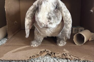 Potty training going backwards!