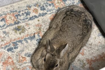 Can’t cut his toenails