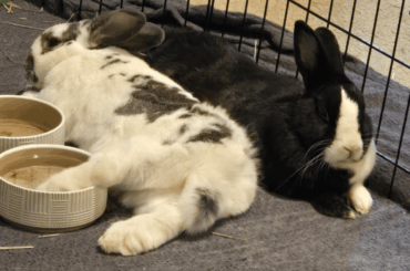 Getting her feet wet