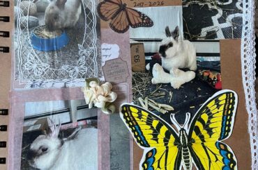 A memorial page for my bunny
