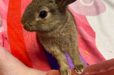 Good morning, bunshine