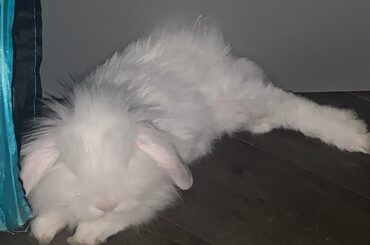 My boys growing fast