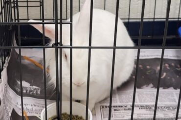 Questions kids asked us about Cassie during a school talk