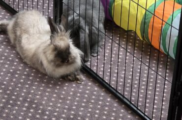 Finally! Today was the day!