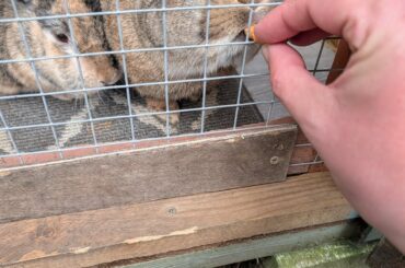 First time seeing my buns in 4 weeks