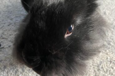 My little baby Salem!