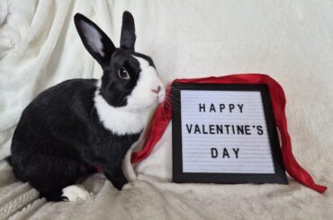 Happy Valentine's Day!