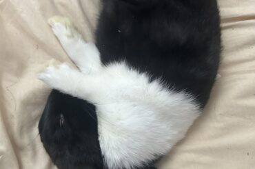 The Pinnacle of Profound Eepy-ness