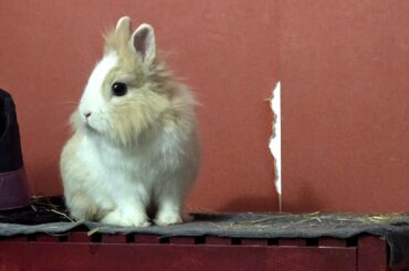 Funny, I could have sworn the wallpaper was fine thirty seconds ago...